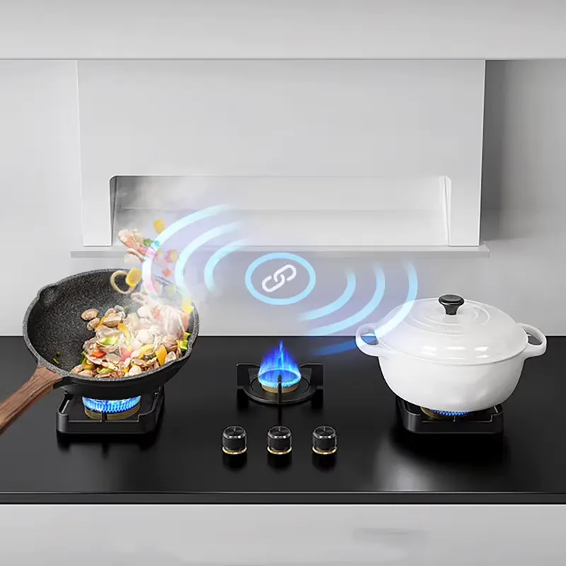 Kompor Gas 3 Tungku dengan Pro - Kitchen Appliances Luxury ulasan dan harga